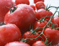 童話『野菜の歌声』のトマト